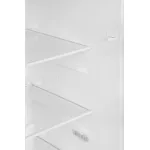 Холодильник Gorenje RK14FPW4 (A+, 2-камерный, объем 178:123/55л, 495x1 430x562см, белый)