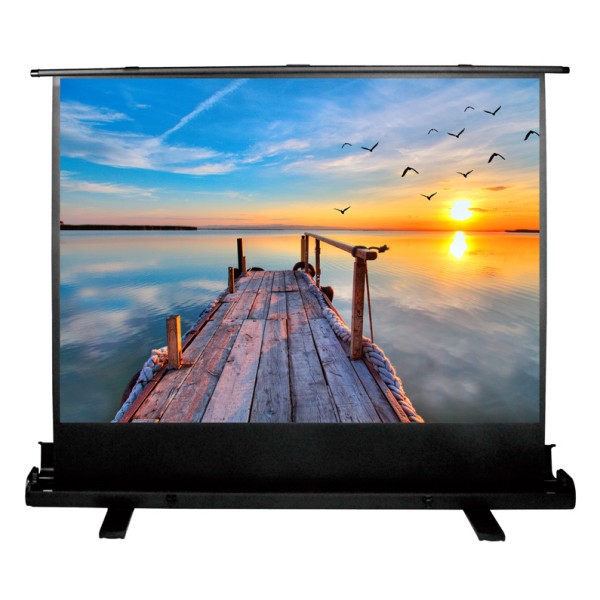 Экран Cactus FloorExpert CS-PSFLE-200X113 (напольный, 90