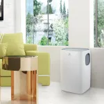 Electrolux Loft EACM-13 CL/N3