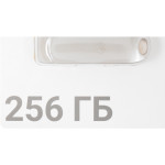 Накопитель USB Digma DGFUM256A30SR