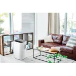 Electrolux Loft EACM-13 CL/N3