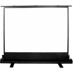 Экран Cactus FloorExpert CS-PSFLE-160X120 (напольный, 79