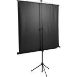 Экран Lumien Eco View LEV-100101 (напольный, 84