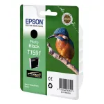 Чернильный картридж Epson C13T15914010 (фото черный; 17стр; St Ph R2000)