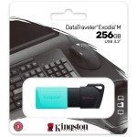 Накопитель USB Kingston DTXM/256GB