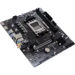 Материнская плата Biostar A620MS-E (x)