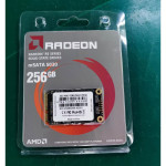 Жесткий диск SSD 256Гб AMD (mSATA, 543/467 Мб/с, 71708 IOPS, SATA)