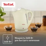 Чайник TEFAL BF 9252 Silver Ion