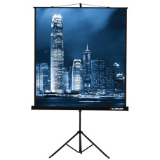 Экран Lumien Master View LMV-100108 (напольный, 120