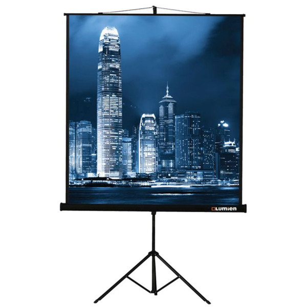 Экран Lumien Master View LMV-100108 (напольный, 120