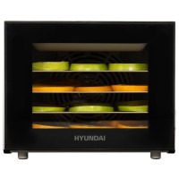 Сушилка Hyundai HYFD-1204 [HYFD-1204]