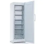 Морозильная камера Indesit DSZ 5175 (объем :261л)