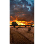 Панель Samsung VM46B-U (46
