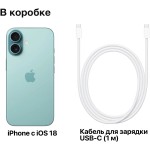 Apple iPhone 16 (6,1