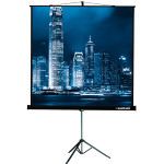 Экран Lumien Master View LMV-100106 (переносной, 81