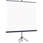 Экран Lumien Eco View LEV-100102 (напольный, 100