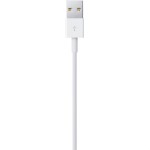 Кабель Apple (Lightning (m), USB A(m), 2м)