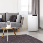 Electrolux Bliss Art EACM-09 GT/N6