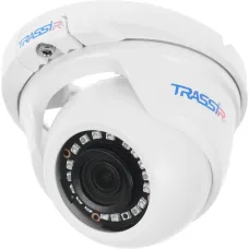 Камера видеонаблюдения Trassir TR-D2S5 (IP, купольная, уличная, 2Мп, 3.6-3.6мм, 1920x1080, 25кадр/с)