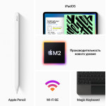 Планшет Apple iPad Pro 2022 Wi-Fi + Cellular(11