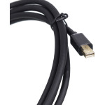 Кабель (miniDisplayPort (m), DVI (m), 2м)