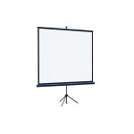 Экран Lumien Eco View LEV-100108 (напольный, 109