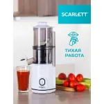 Соковыжималка Scarlett SC-JE50S63
