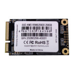Жесткий диск SSD 256Гб AMD (mSATA, 543/467 Мб/с, 71708 IOPS, SATA)