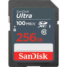 Карта памяти SDXC 256Гб SanDisk (Class 10, 100Мб/с, UHS-I) [SDSDUNR-256G-GN3IN]