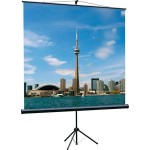 Экран Lumien Eco View LEV-100103 (напольный, 111