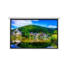 Экран Lumien Master Picture LMP-100109CSR (настенно-потолочный, 120