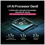 QLED-телевизор LG OLED65C5RLA (65