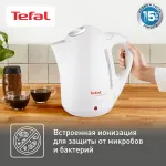 Чайник TEFAL BF 9251 Silver Ion