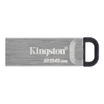 Накопитель USB Kingston DTKN/256GB