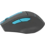 Мышь A4Tech Fstyler FG30