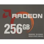 Жесткий диск SSD 256Гб AMD (2.5