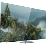 OLED-телевизор Skyworth 65SXF9850 (65