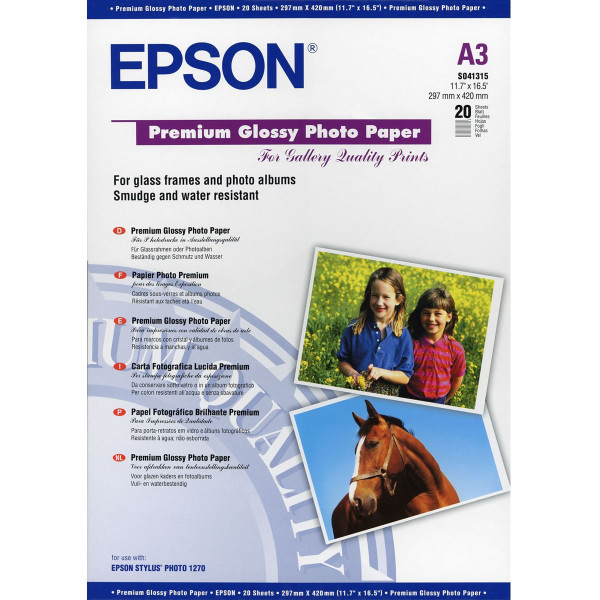 Epson C13S041315