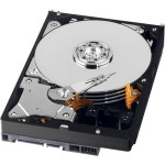 Western Digital