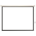 Экран Lumien Eco Control LEC-100109 (настенно-потолочный, 88