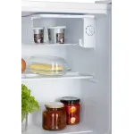 Холодильник NORD NS 50 W (A+, 1-камерный, белый)