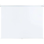 Экран Lumien Eco Picture LEP-100103 (настенно-потолочный, 111