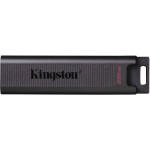 Накопитель USB Kingston DTMAX/256GB