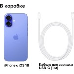 Apple iPhone 16 (6,1