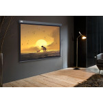 Экран Cactus Wallscreen CS-PSW-124X221-SG (настенно-потолочный, 99,77