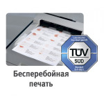 Этикетки Avery Zweckform (A4, односторонняя, 100 листов, белый, накл: 1шт, 210x297мм)