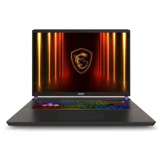 Ноутбук MSI Vector 17 HX A2XWJG (Intel Core Ultra 9 275HX 2.7 ГГц/32 ГБ DDR5 6400 МГц/17