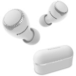 Гарнитура Panasonic RZ-S300WGE (беспроводные внутриканальные в ушной раковине закрытые, 30ч, Bluetooth 5.0, IPX4)