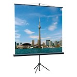 Экран Lumien Eco View LEV-100101 (напольный, 84