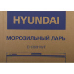 Морозильный ларь Hyundai CH3091WT